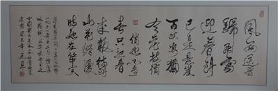 中國書法美術(shù)家協(xié)會(huì)副主席 南安市書畫協(xié)會(huì)會(huì)長褚子良題詞